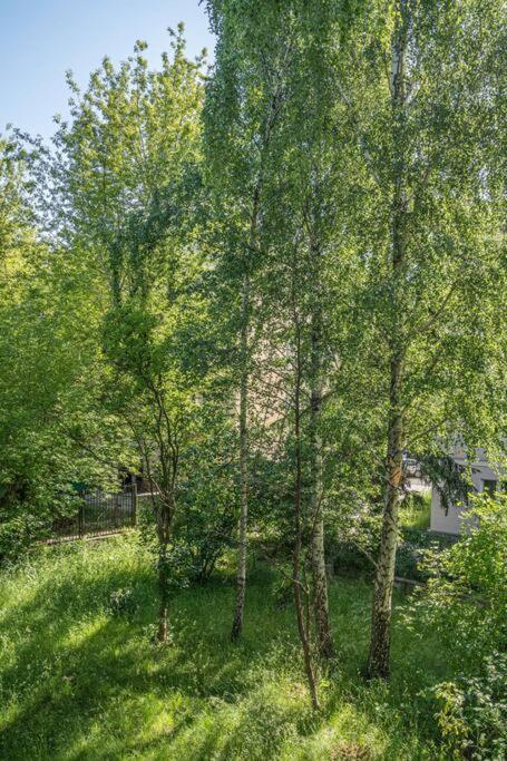 Rozana, Stary Mokotow Apartment Warsaw Ngoại thất bức ảnh